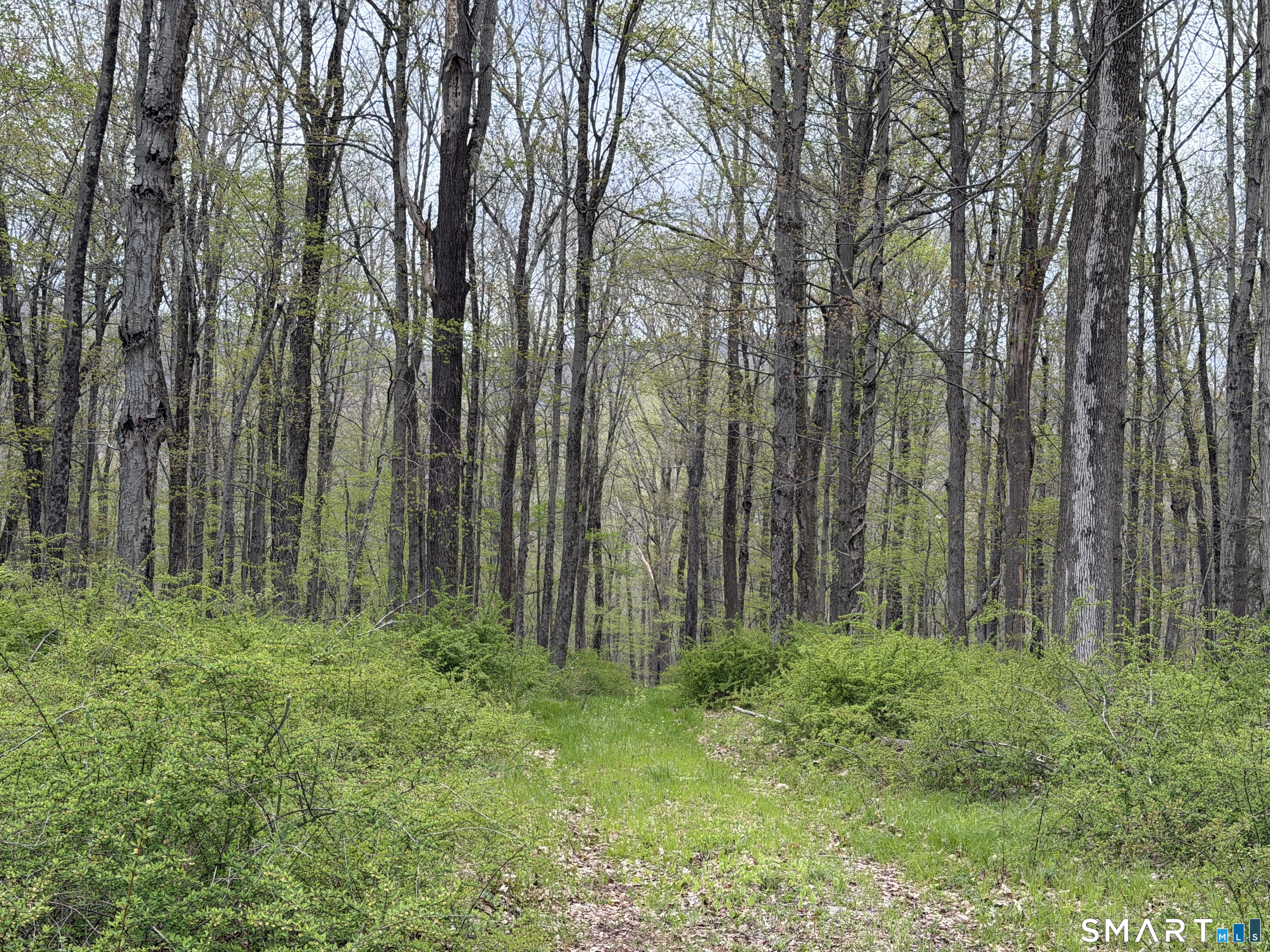 Under Mountain Road Salisbury, CT 06068 - Photo 14 of 18
