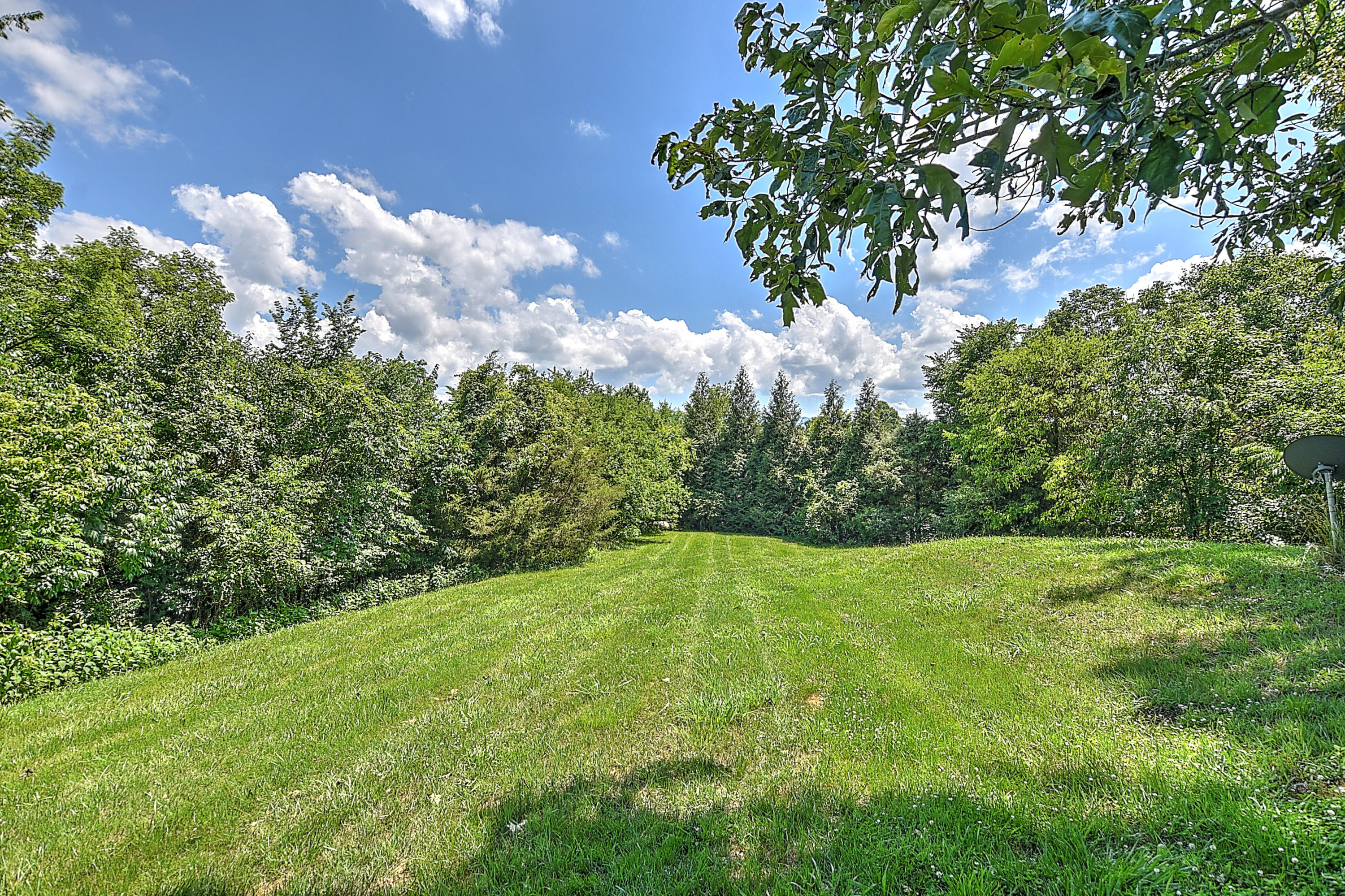 175 John Matthews Road Limestone, TN 37681 - Photo 22 of 27 23