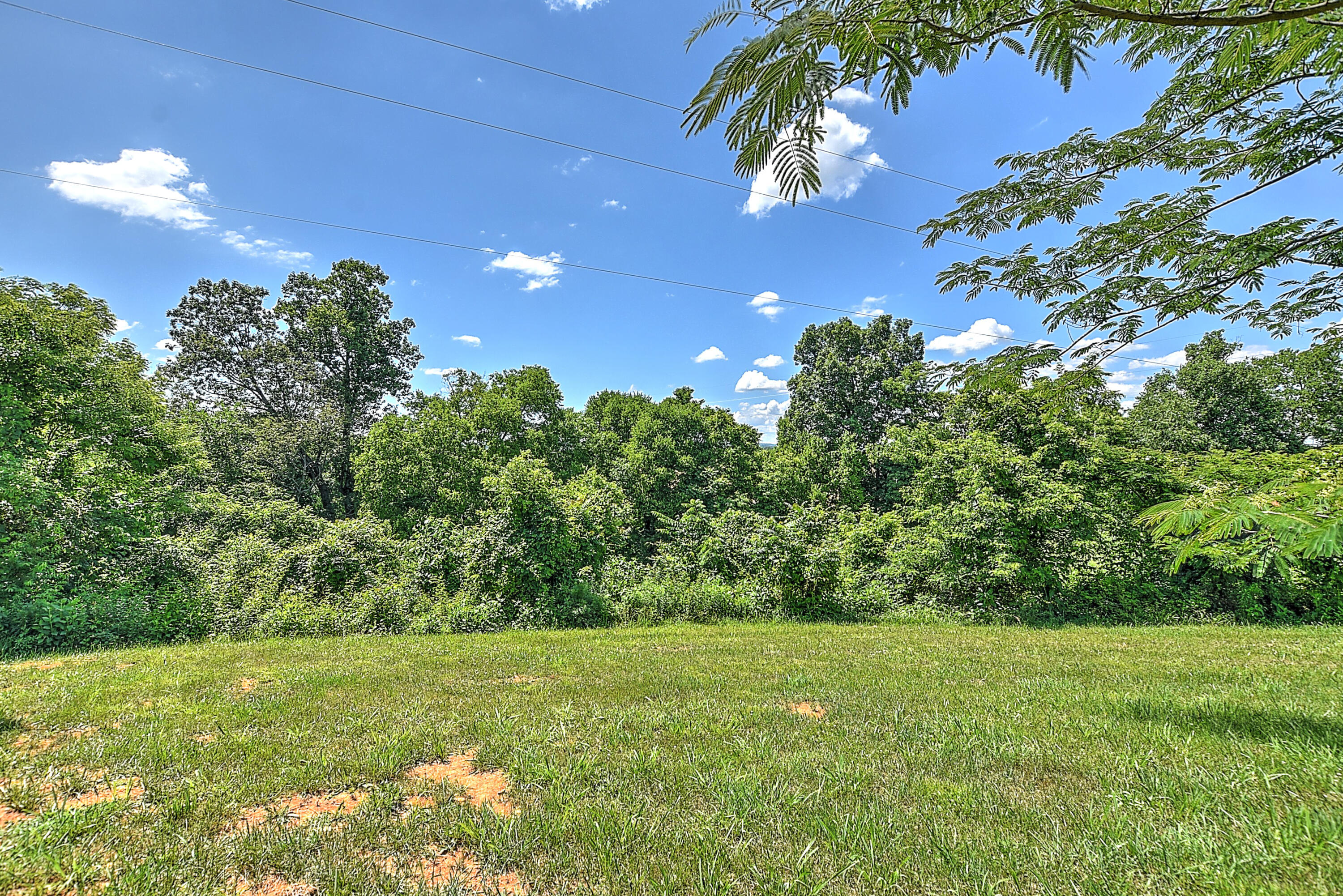 175 John Matthews Road Limestone, TN 37681 - Photo 24 of 27 25