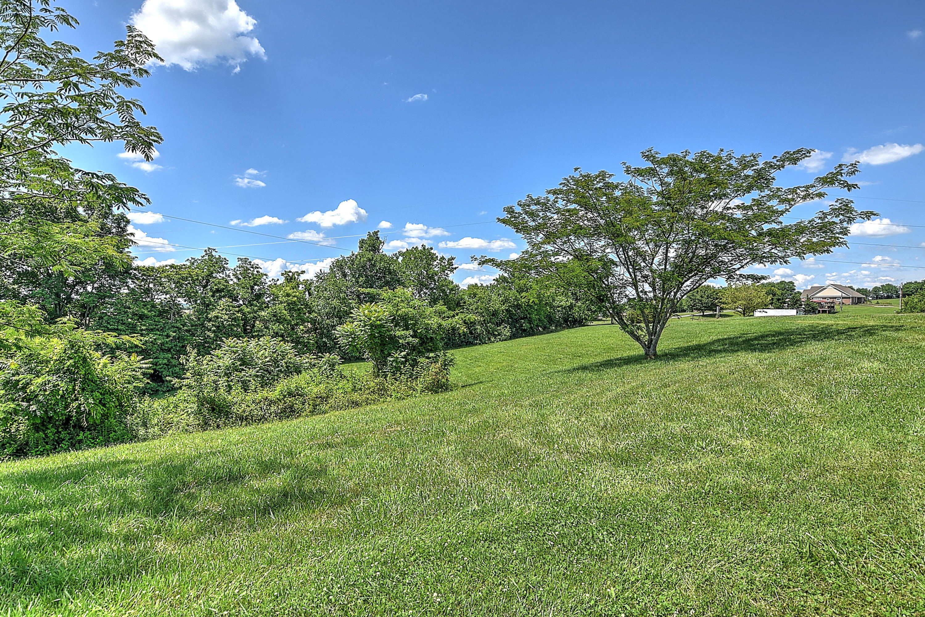 175 John Matthews Road Limestone, TN 37681 - Photo 25 of 27 26