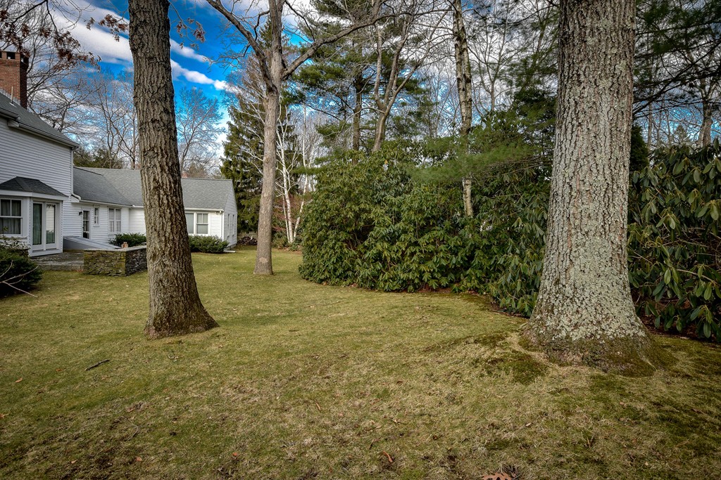 19 Falmouth Road Wellesley, MA 02481 - Photo 26 of 29 a view of outdoor space and yard