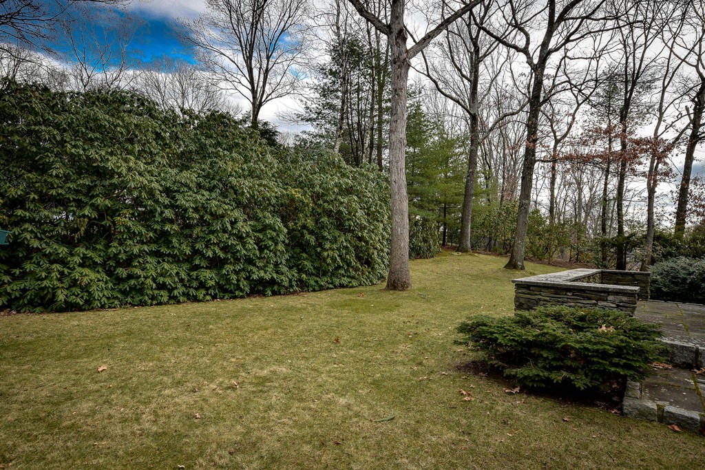 19 Falmouth Road Wellesley, MA 02481 - Photo 28 of 29 a view of backyard with green space