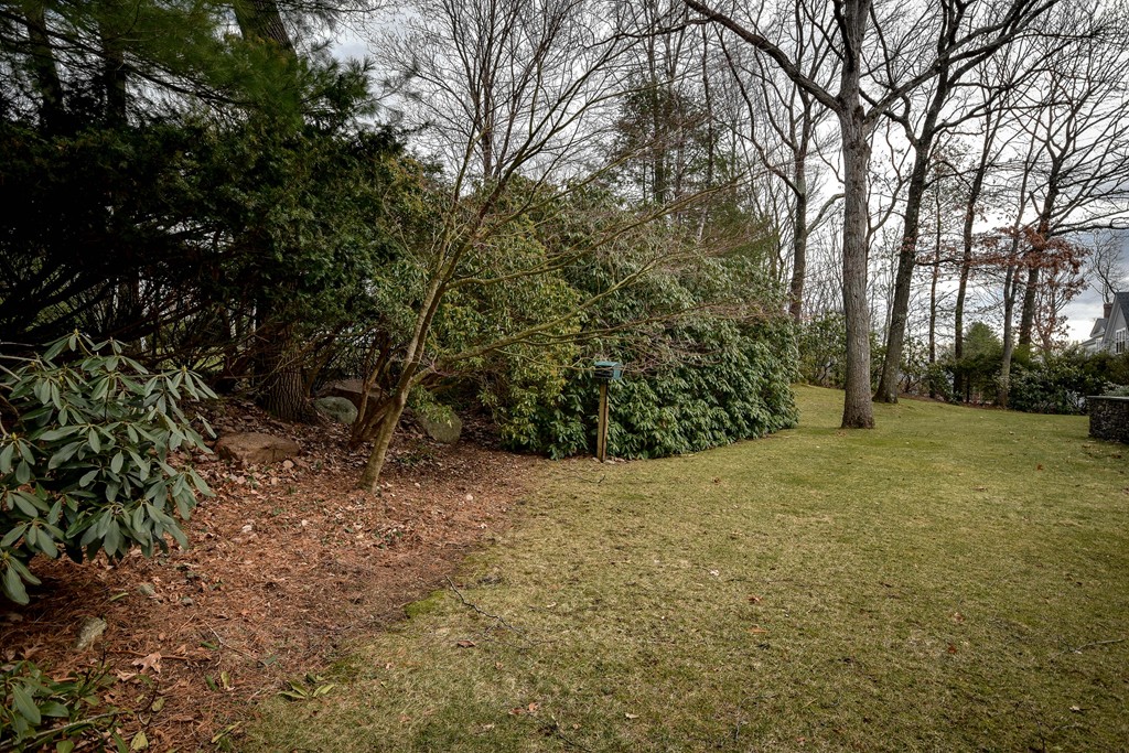 19 Falmouth Road Wellesley, MA 02481 - Photo 29 of 29 a view of a yard with plants and trees