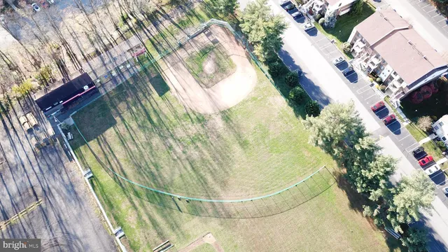 a picture of a flower in a garden