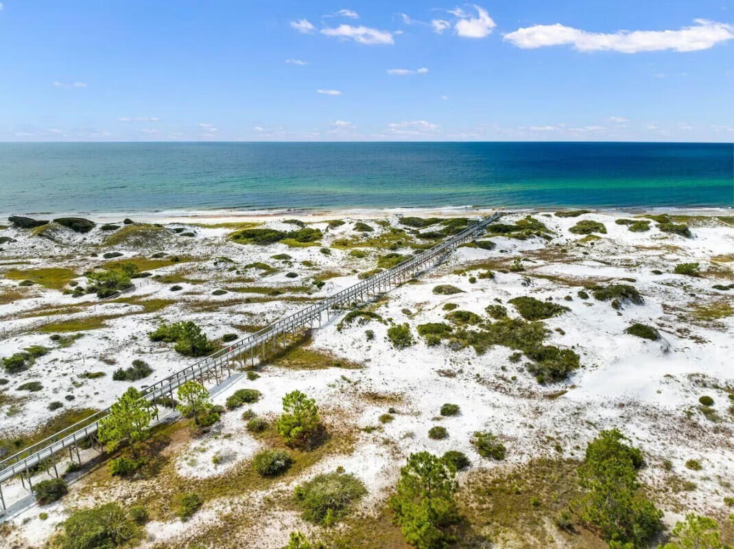 38 East Crabbing Hole Ln Inlet Beach Inlet Beach, FL 32461 - Photo 43 of 48 42