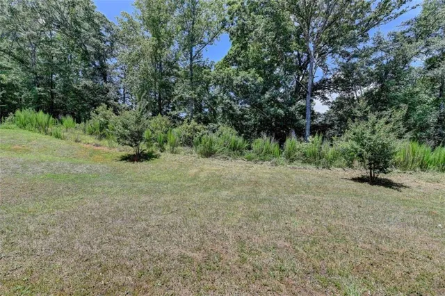 a view of a yard with a tree