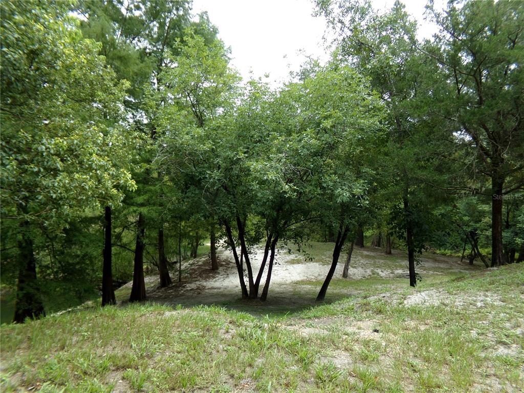33068 Round Table Road Dade City, FL 33523 - Photo 79 of 82 a view of outdoor space and yard