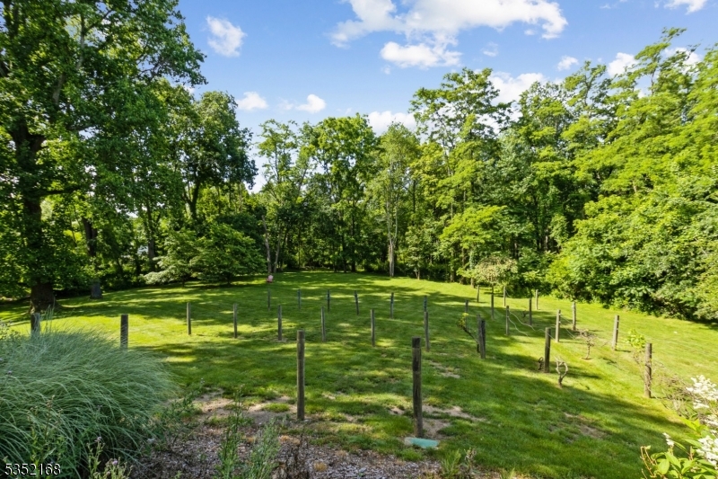 52 Kitchell Road, Unit 1 Morristown, NJ 07960 - Photo 24 of 30 Gallery Image 24