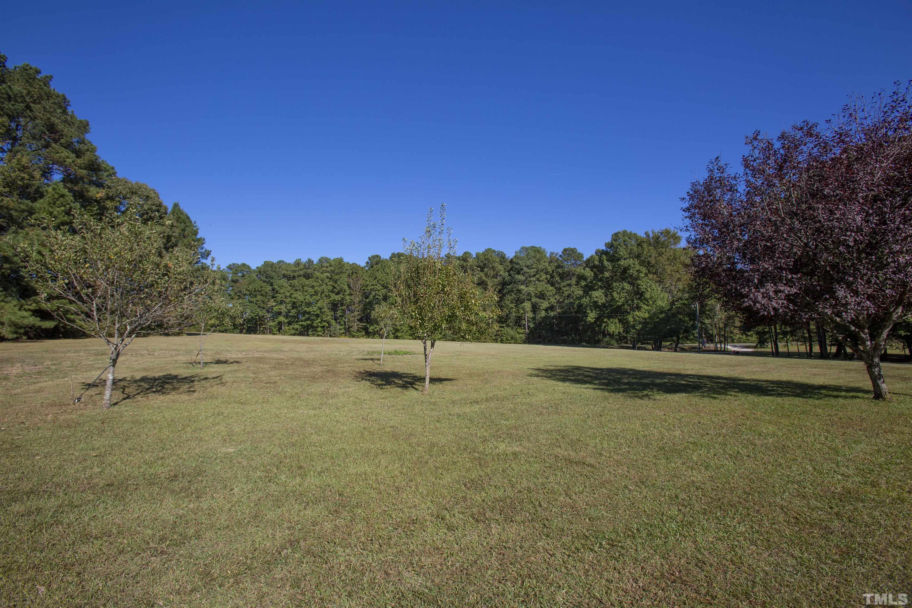 510 Vick Road Spring Hope, NC 27882 - Photo 3 of 29 a view of a lake with a yard