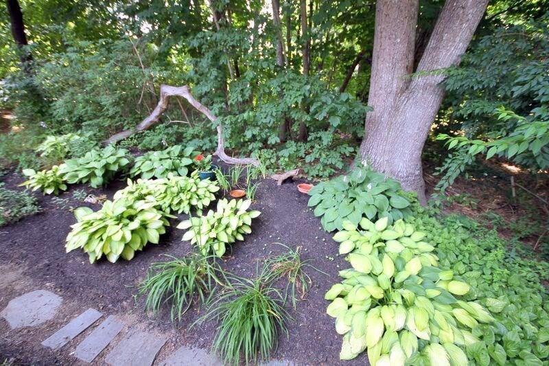 182 Sea Road Kennebunk, ME 04043 - Photo 25 of 25 Nicely Landscaped