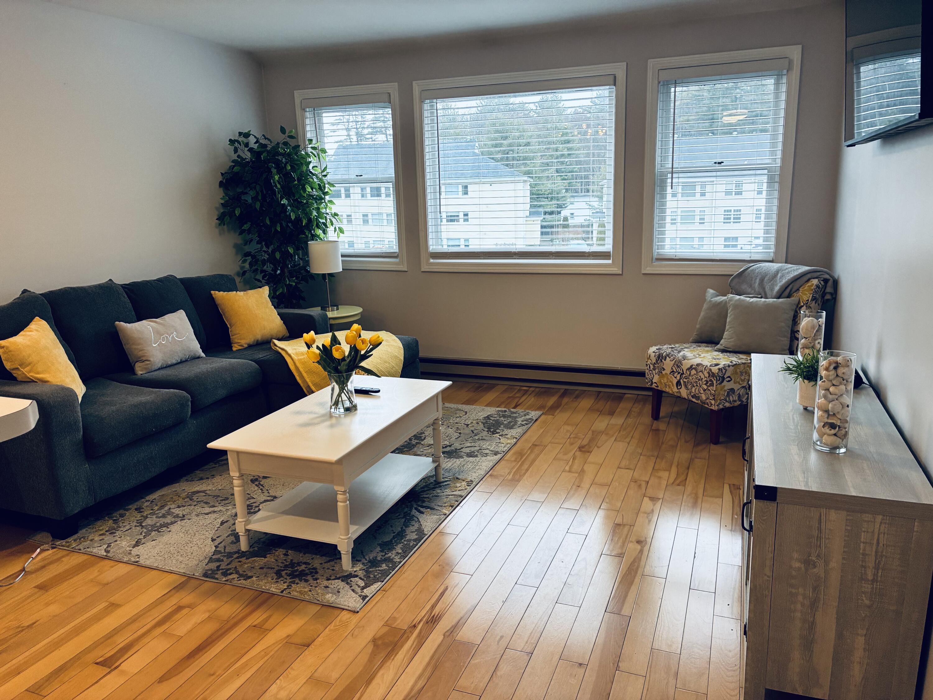 18 Smithwheel Road, Unit 16 Old Orchard Beach, ME 04064 - Photo 4 of 12 ericalivrm