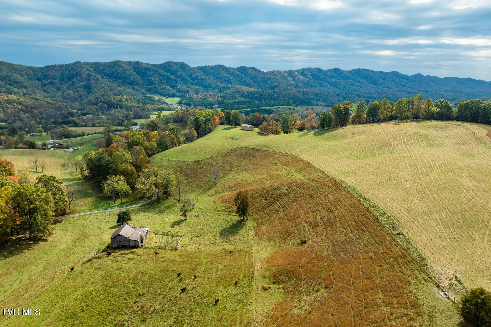 348 Clinch Valley Road Eidson, TN 37731 - Photo 63 of 120 348 Clinch Valley Rd (50 of 116)