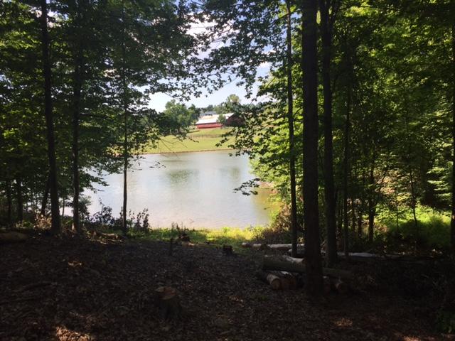Lot 12 Old Point Road Moneta, VA 24121 - Photo 11 of 15 IMG_6444