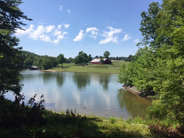 Lot 12 Old Point Road Moneta, VA 24121 - Photo 13 of 15 IMG_6448