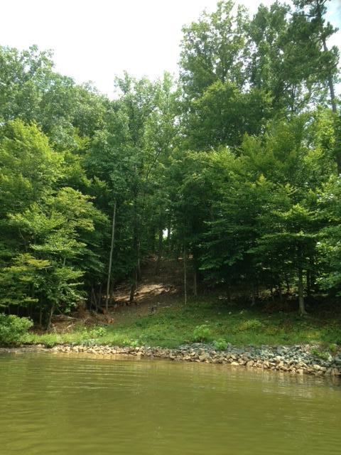 Lot 12 Old Point Road Moneta, VA 24121 - Photo 15 of 15 IMG_5429