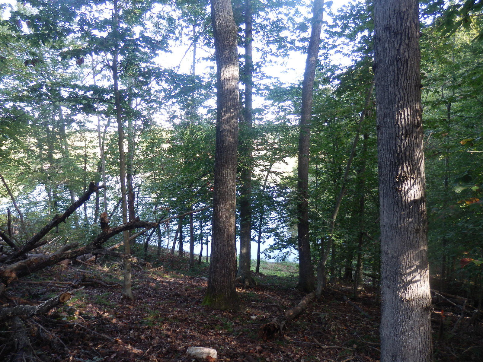 Lot 12 Old Point Road Moneta, VA 24121 - Photo 2 of 15 1.6 Acres