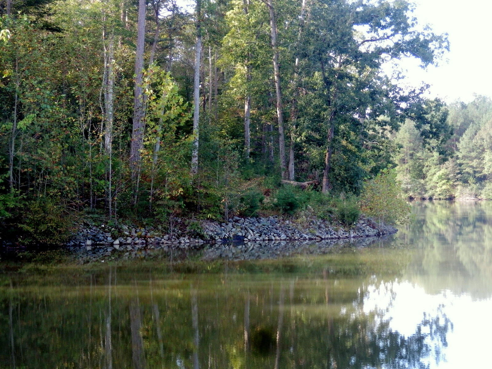 Lot 12 Old Point Road Moneta, VA 24121 - Photo 4 of 15 Over 300 feet of rip-rapped Shoreline