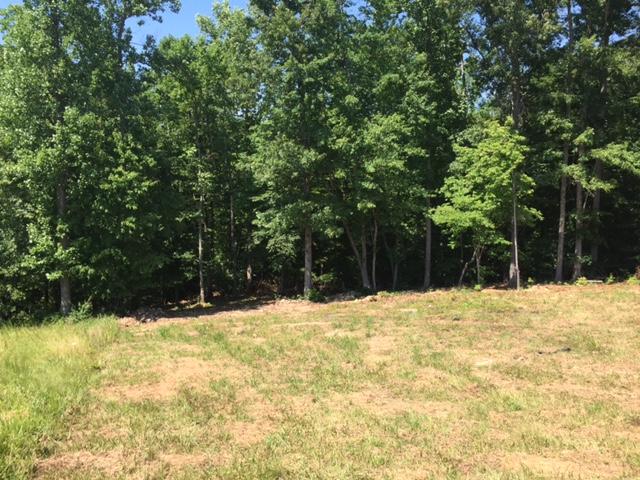 Lot 12 Old Point Road Moneta, VA 24121 - Photo 10 of 15 IMG_6436