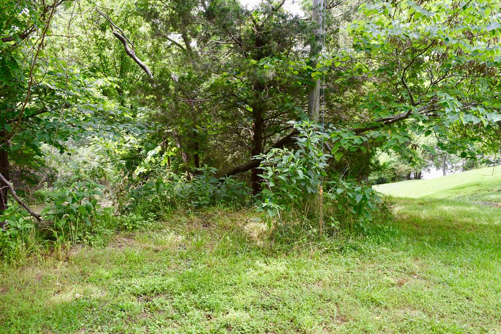 Carters Island Road Goodview, VA 24095 - Photo 22 of 36 Gallery Image 22