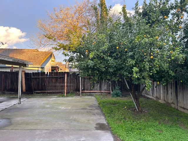 a house with a tree in front of it