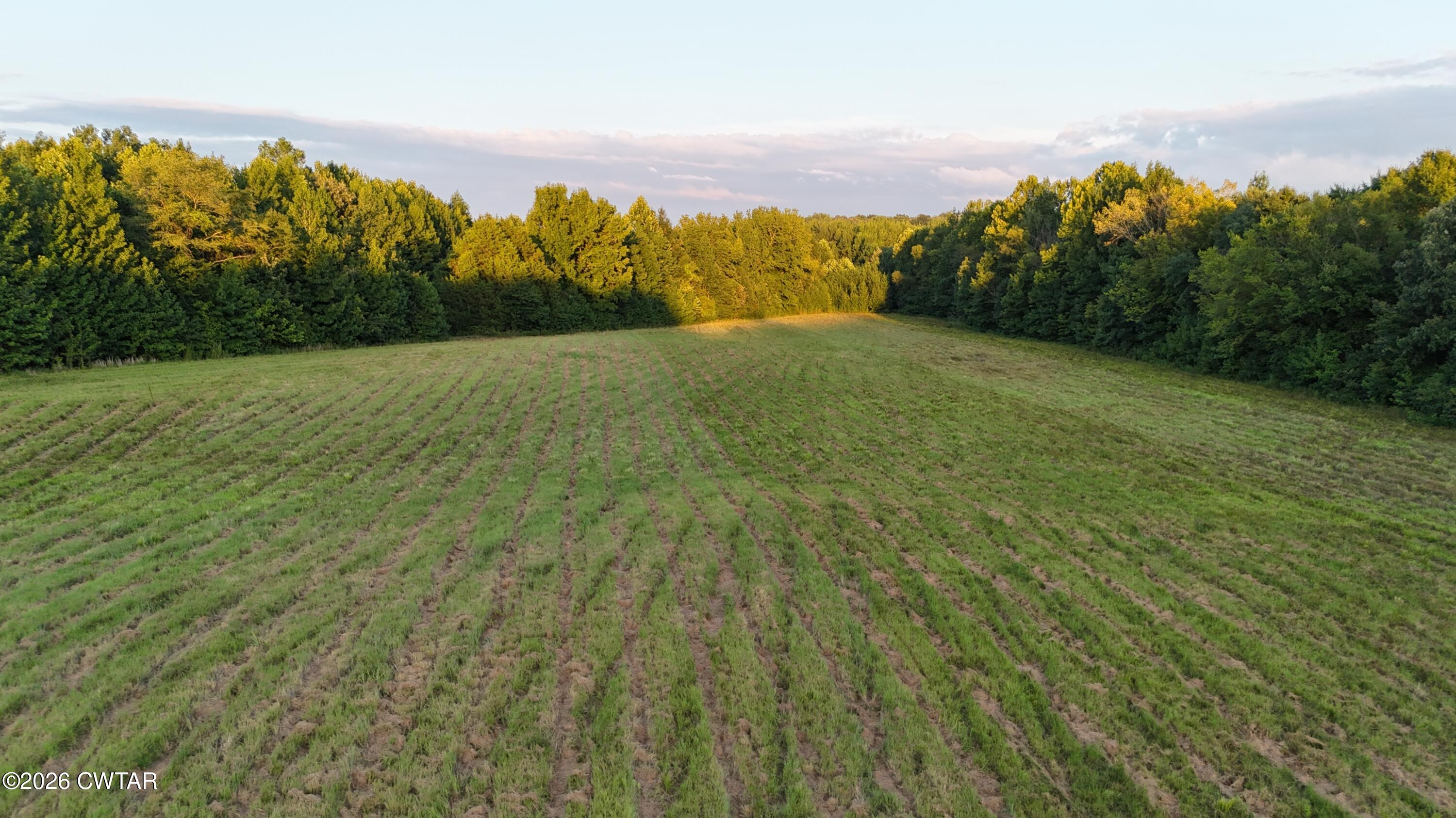 0 Roberts Road Pinson, TN 38366 - Photo 15 of 18 IMG_1069