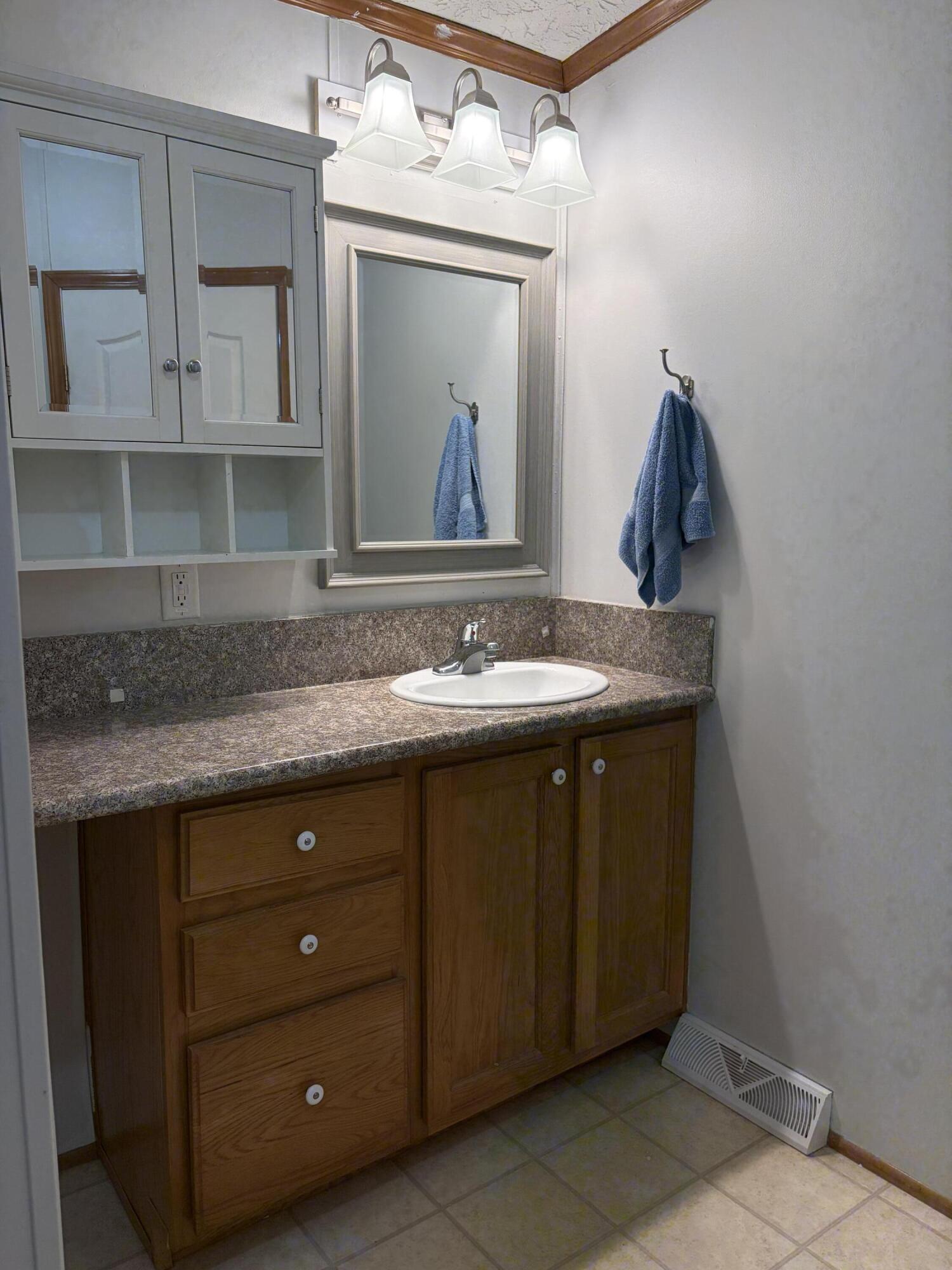 100 River Creek Road Wirtz, VA 24184 - Photo 21 of 32 primary bath 2