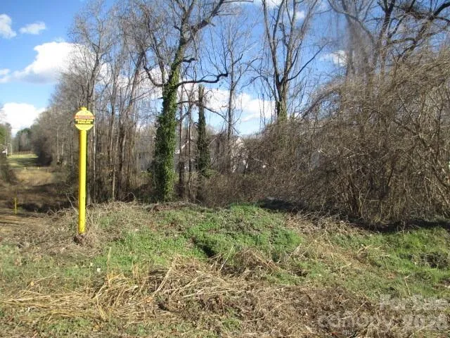 a view of a bird bath