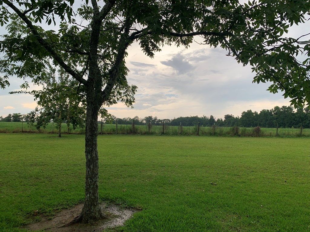 36 May Road Slocomb, AL 36375 - Photo 4 of 16