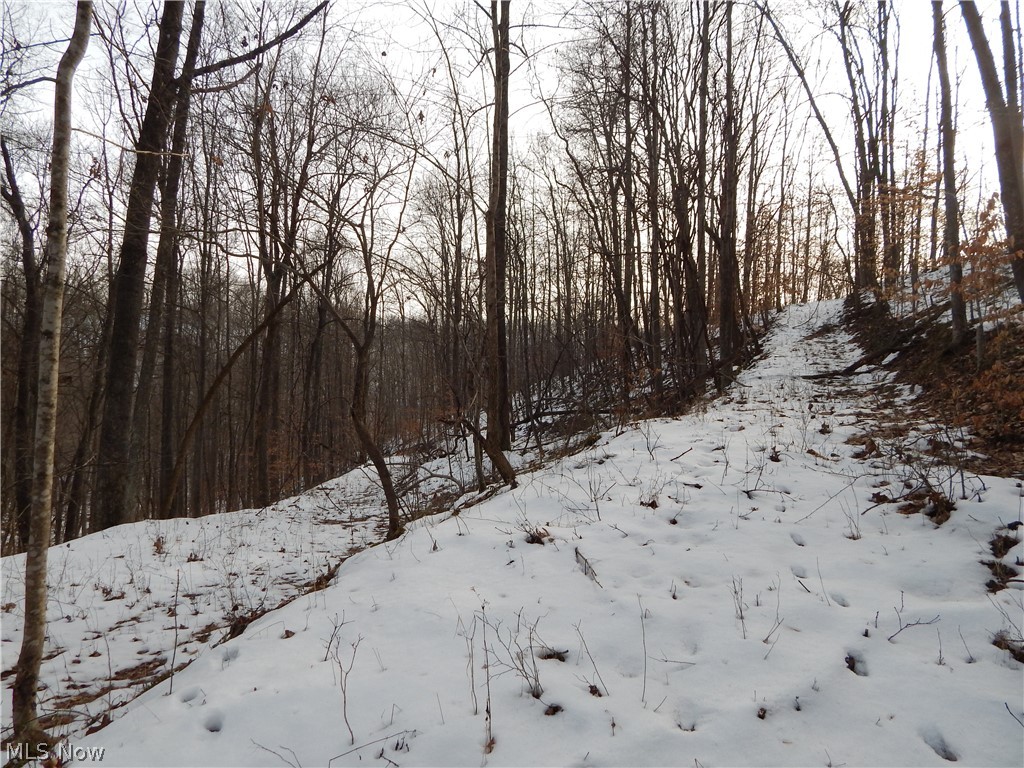 Fingerboard Road Big Springs, WV 26137 - Photo 13 of 21