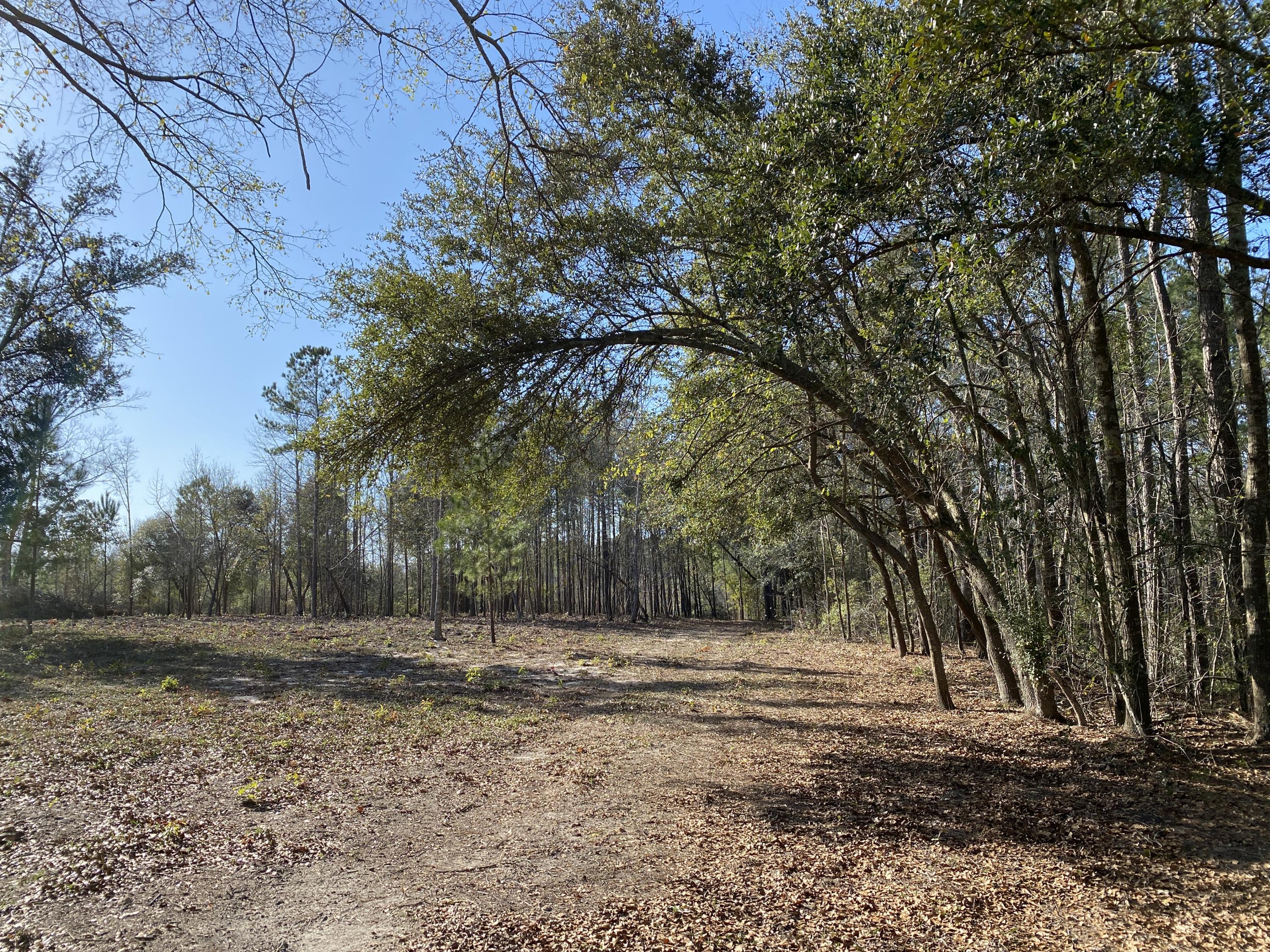 0 Power House Road, Unit LOT 1 Moncks Corner, SC 29461 - Photo 1 of 17 Photo - 7
