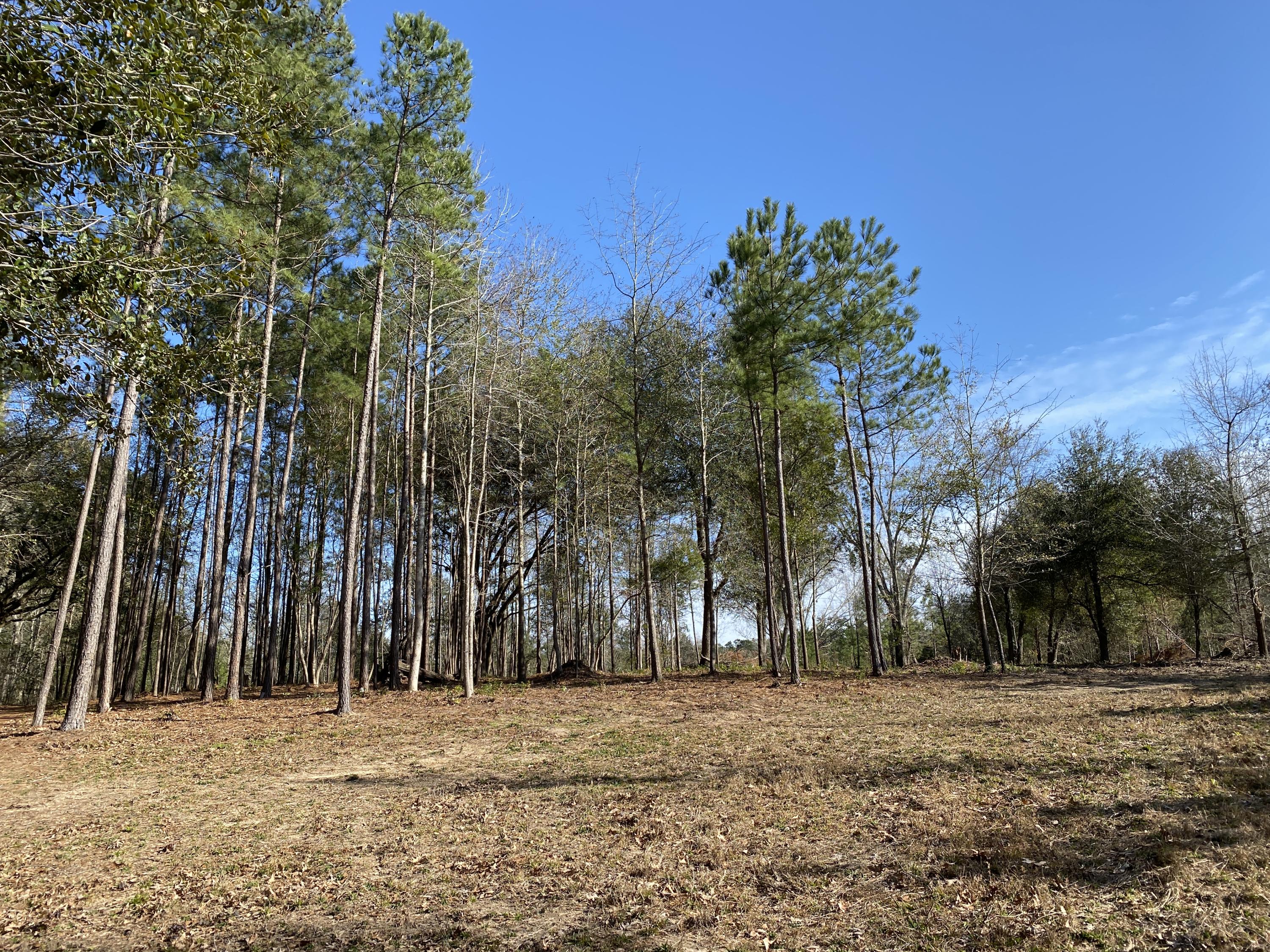 0 Power House Road, Unit LOT 1 Moncks Corner, SC 29461 - Photo 14 of 17 Photo - 9
