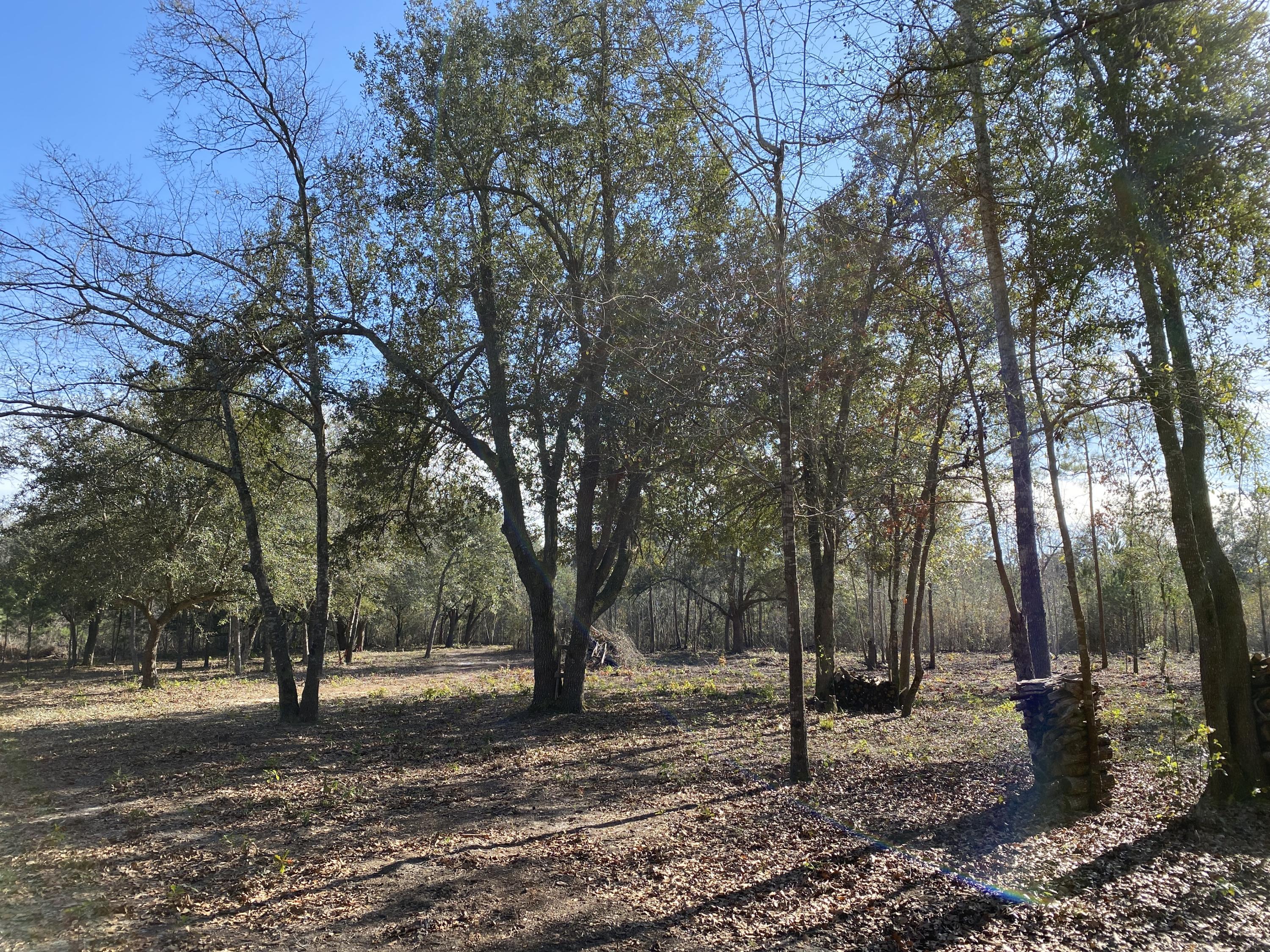 0 Power House Road, Unit LOT 1 Moncks Corner, SC 29461 - Photo 6 of 17 Photo - 1