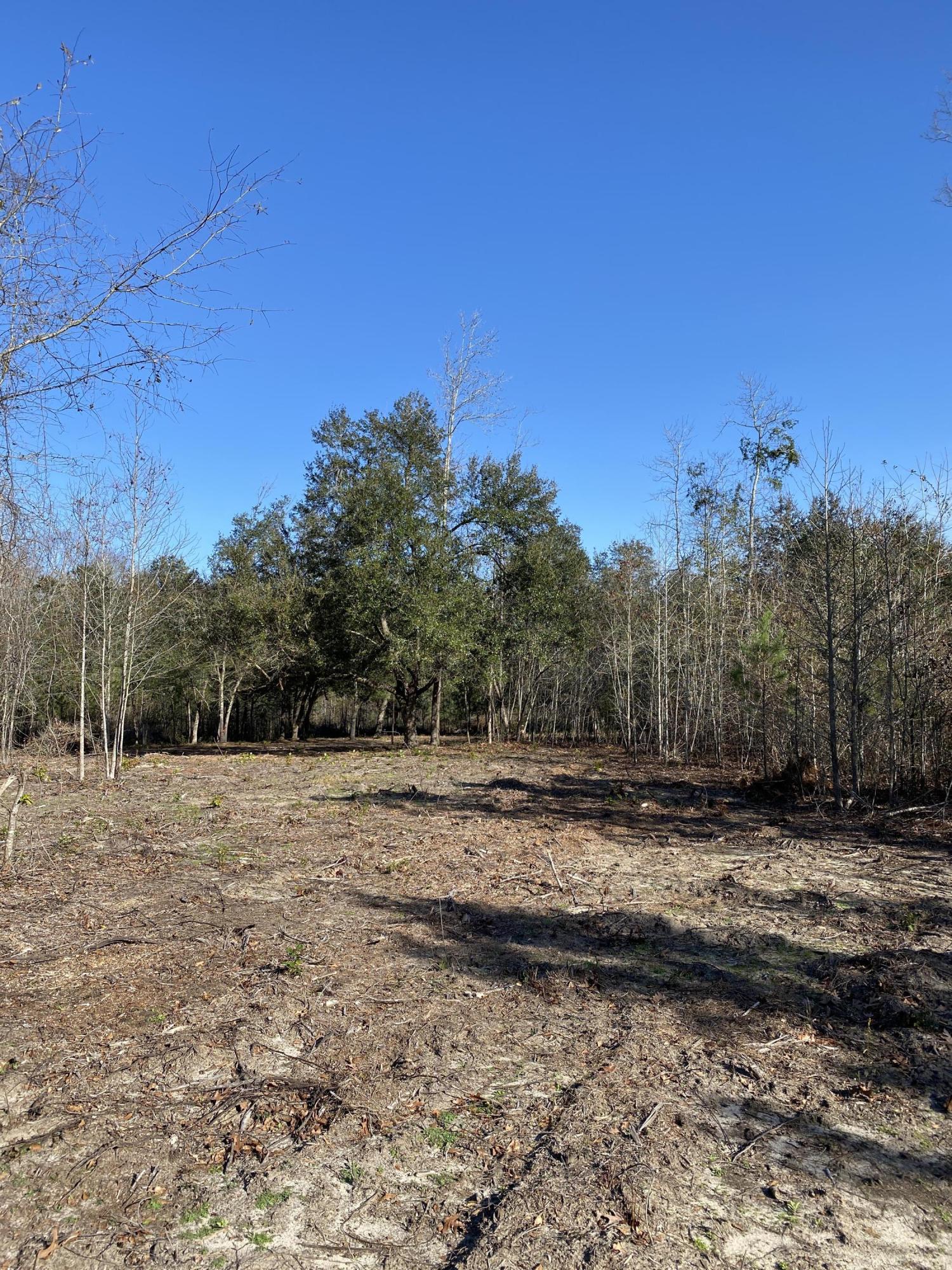 0 Power House Road, Unit LOT 1 Moncks Corner, SC 29461 - Photo 10 of 17 IMG_0580