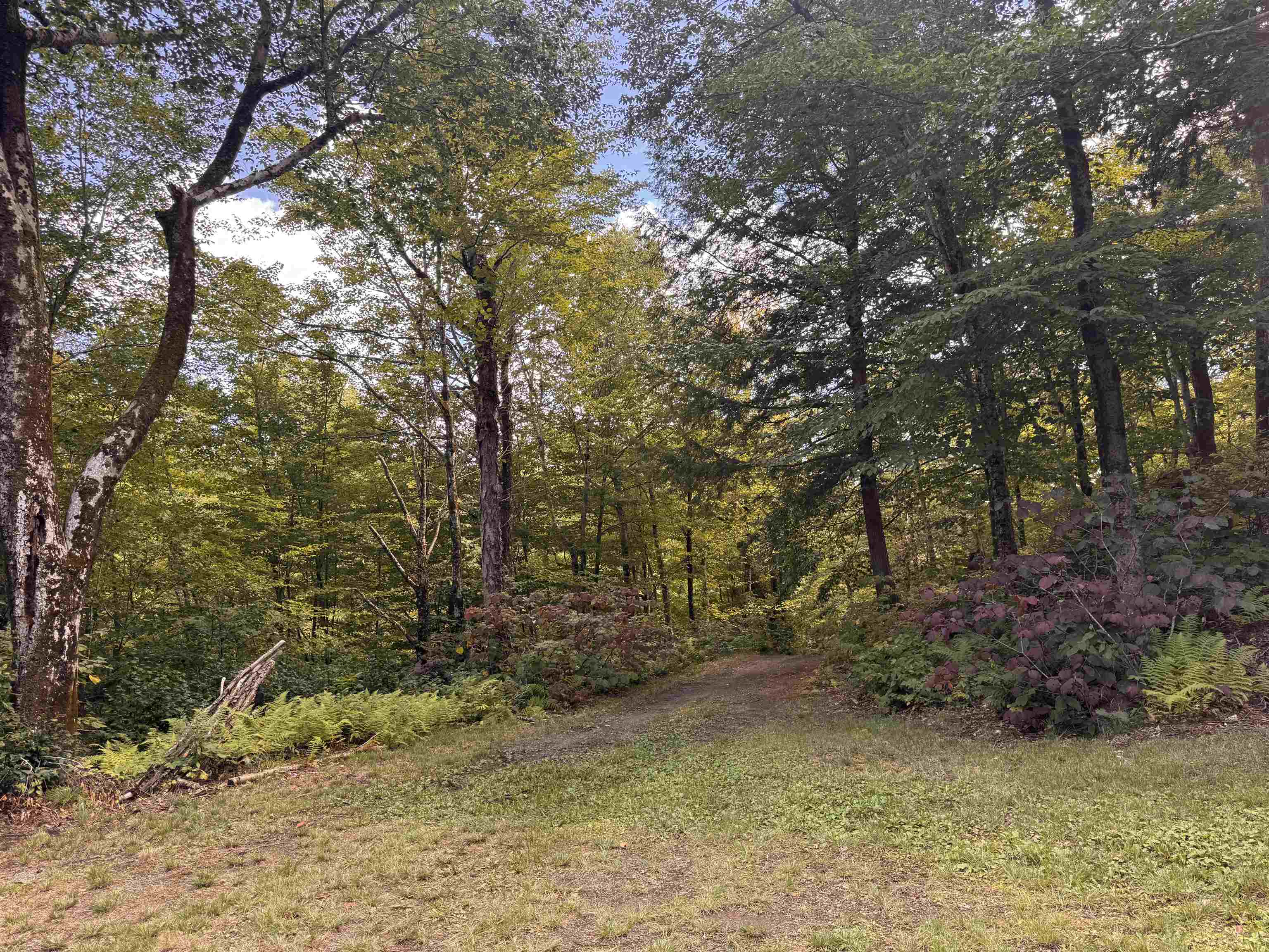 7601 Highway 105 Jay, VT 05859 - Photo 11 of 28