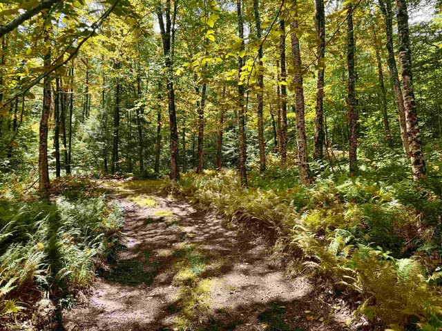 $95,500 | 7601 Highway 105, Jay, VT 05859