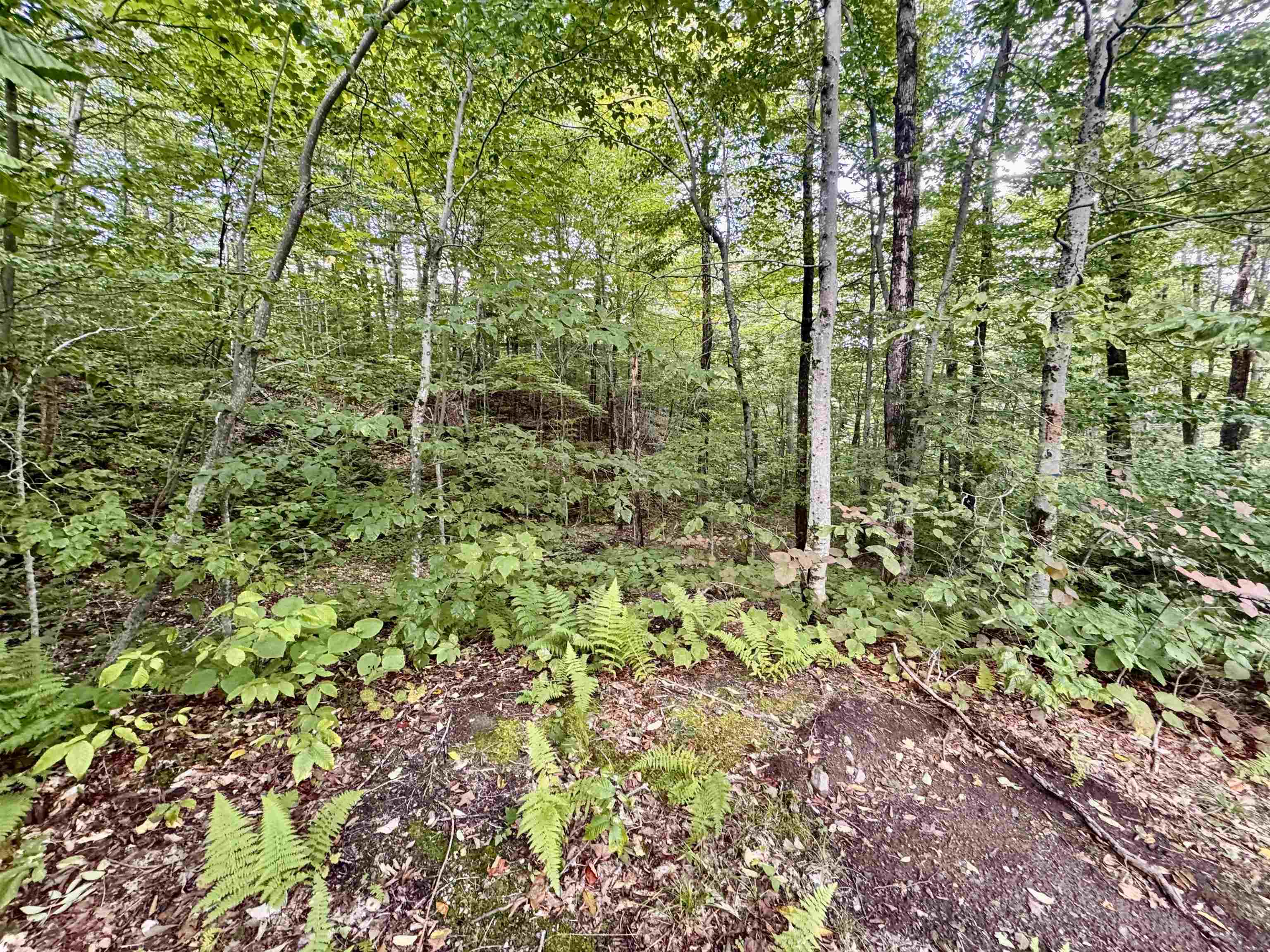 7601 Highway 105 Jay, VT 05859 - Photo 18 of 28