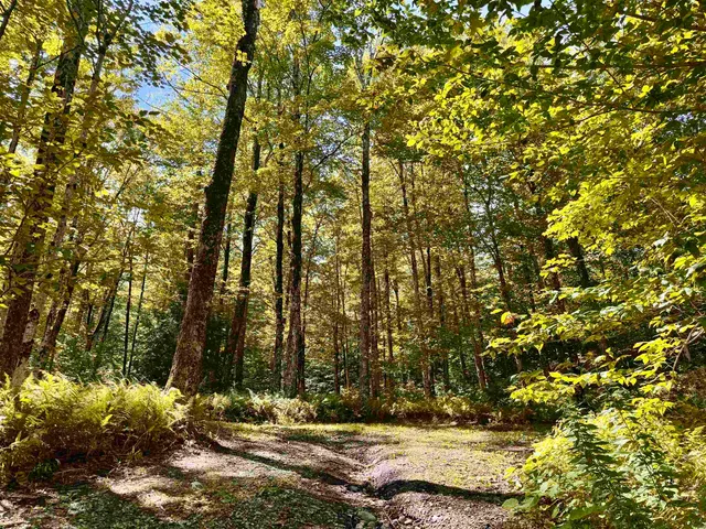 $95,500 | 7601 Highway 105, Jay, VT 05859