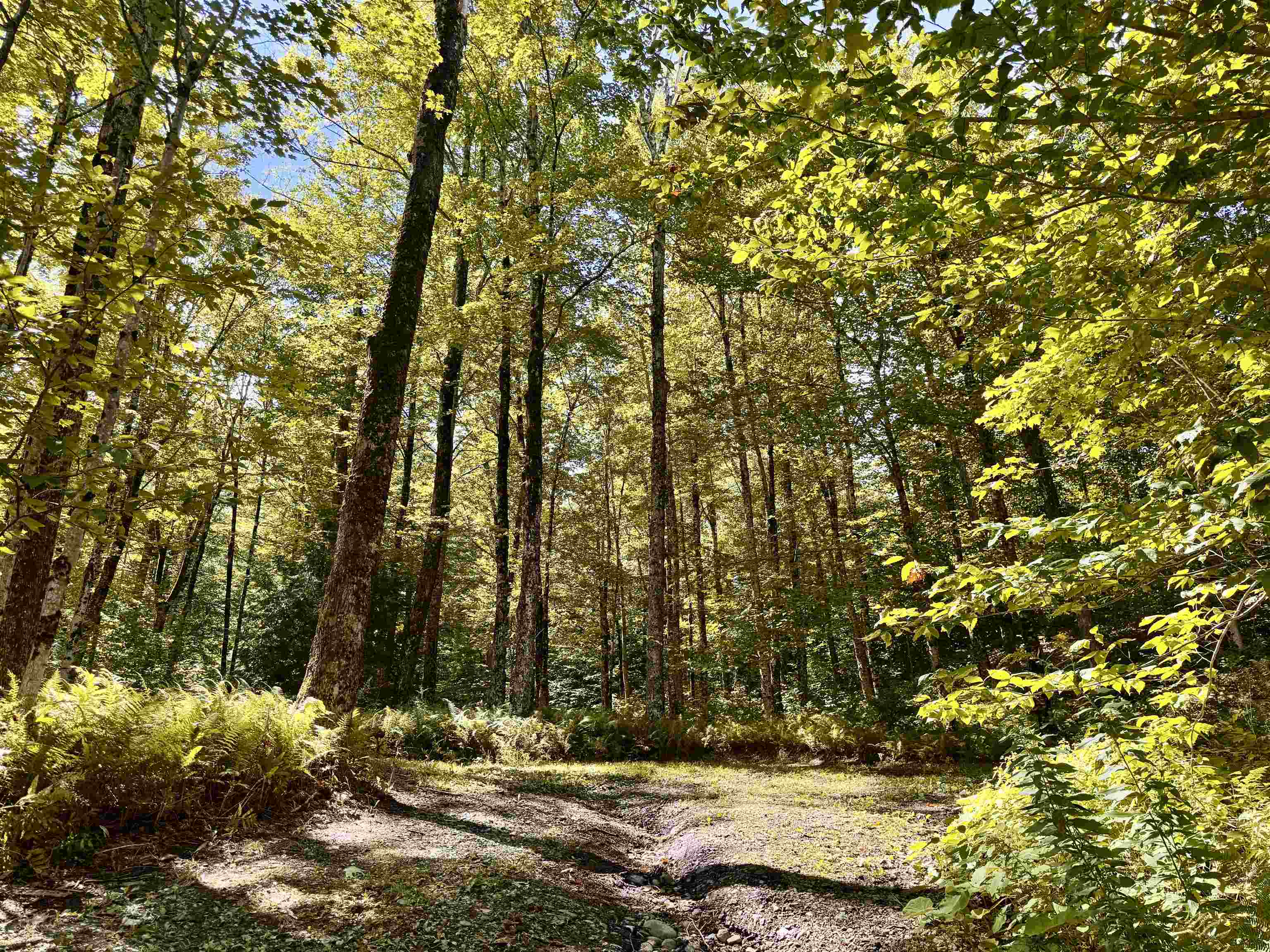 7601 Highway 105 Jay, VT 05859 - Photo 2 of 28