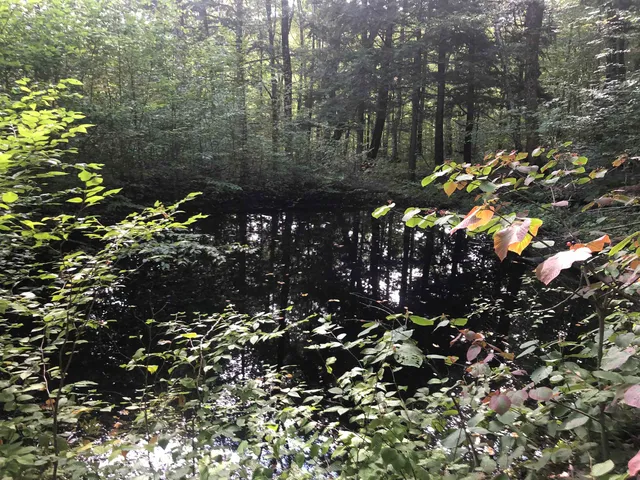 $95,500 | 7601 Highway 105, Jay, VT 05859