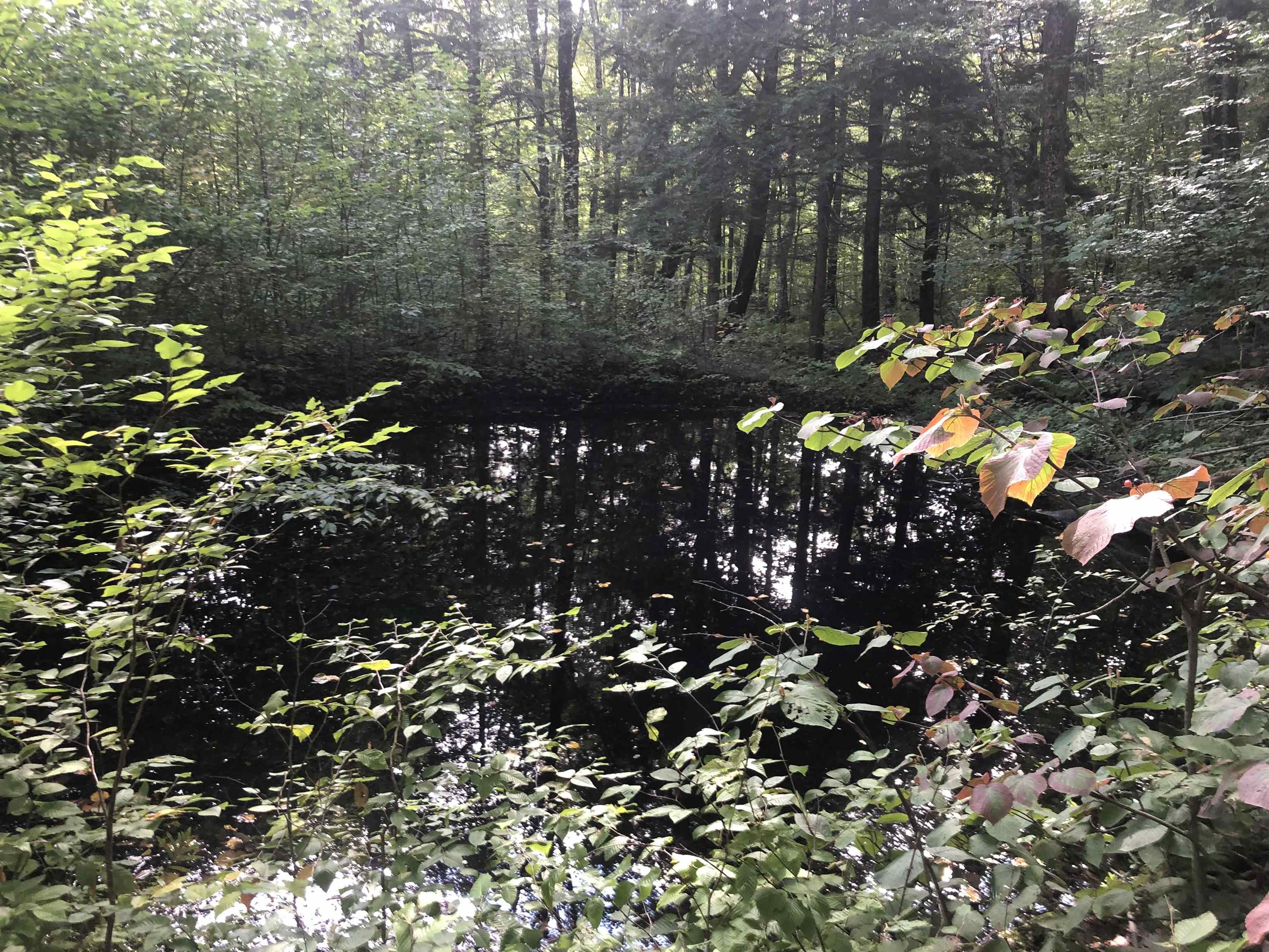 7601 Highway 105 Jay, VT 05859 - Photo 27 of 28