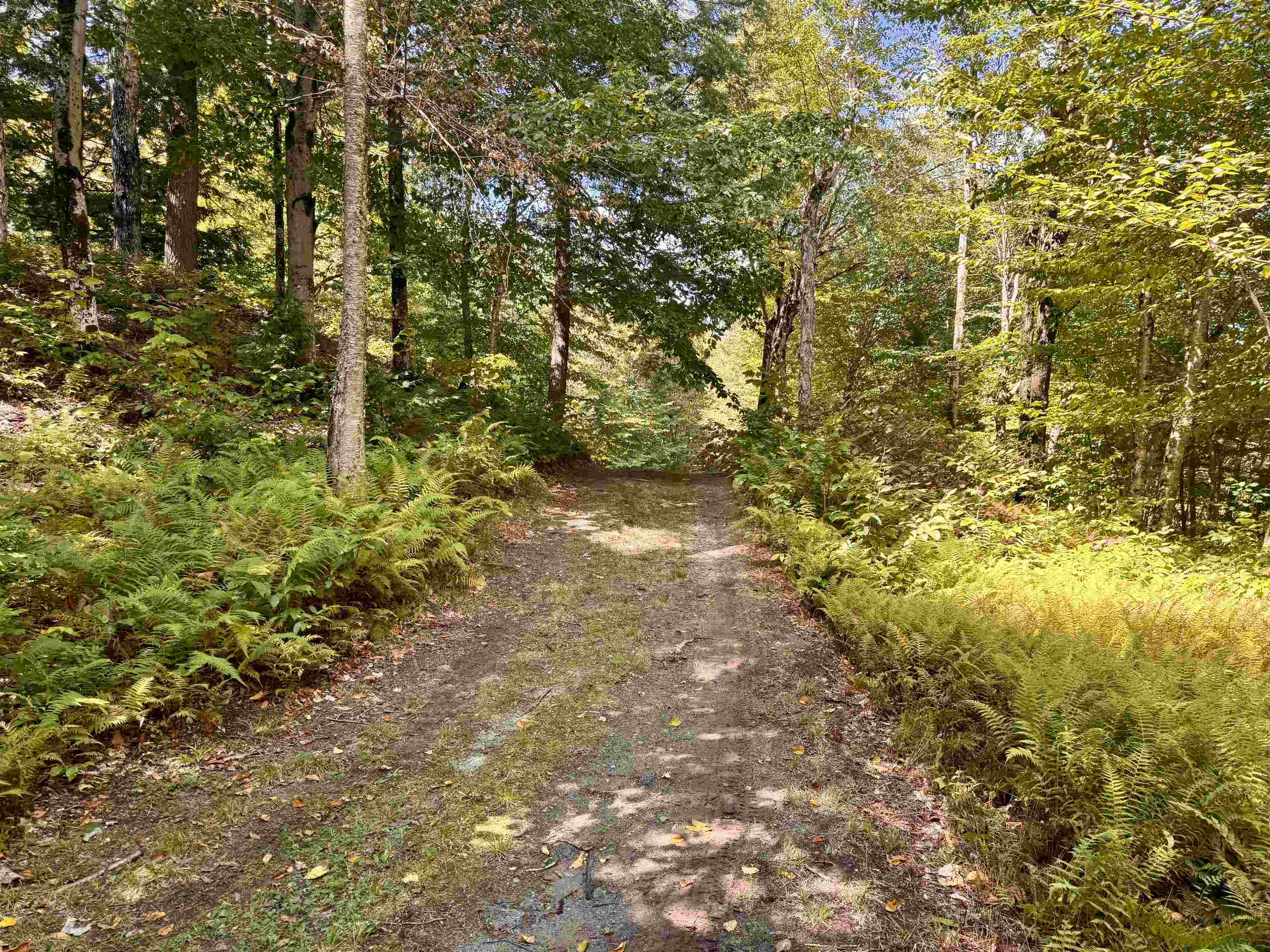 7601 Highway 105 Jay, VT 05859 - Photo 4 of 28