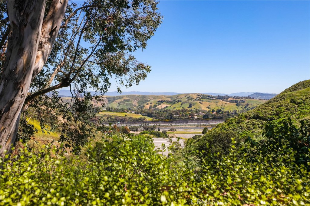 25486 Rue Terrase Laguna Niguel, CA 92677 - Photo 9 of 38