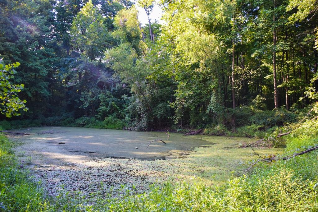 5489 Goose Creek Road Freedom, IN 47431 - Photo 37 of 40 Gallery Image 37