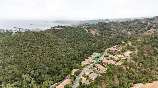 a view of a tree with a mountain in the background