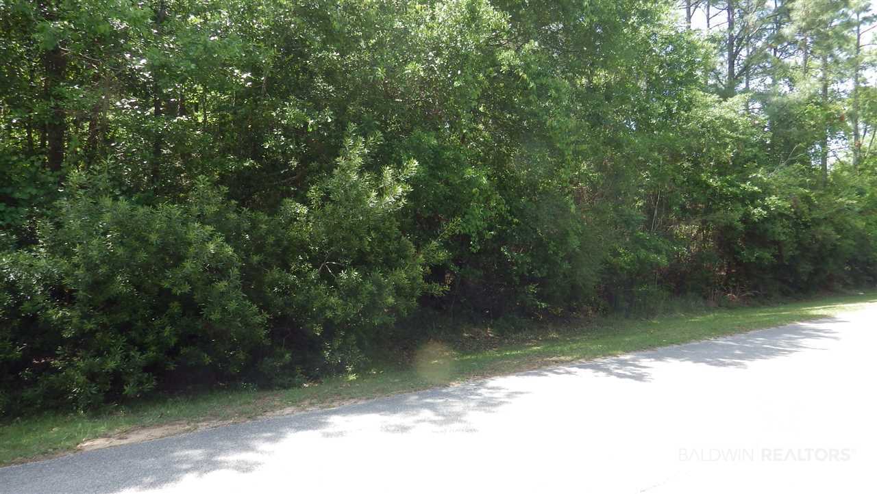 0 Bay Pines Lane Foley, AL 36535 - Photo 1 of 1