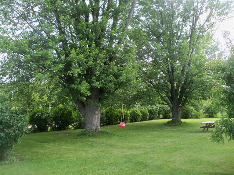 3072 East Johnson Road Custer, MI 49405 - Photo 3 of 15 Additional Photo