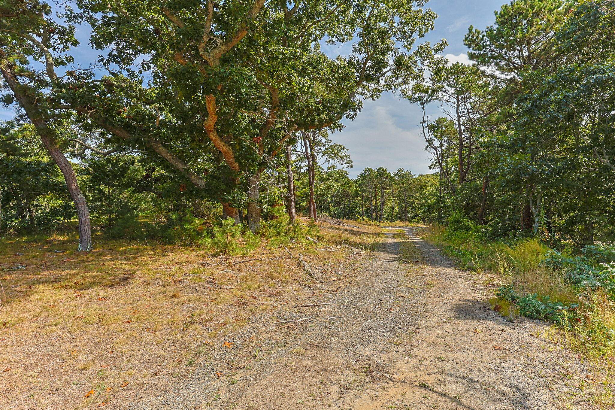 7 Arrowhead Farm Road Truro, MA 02666 - Photo 7 of 16 a view of lake with mountain