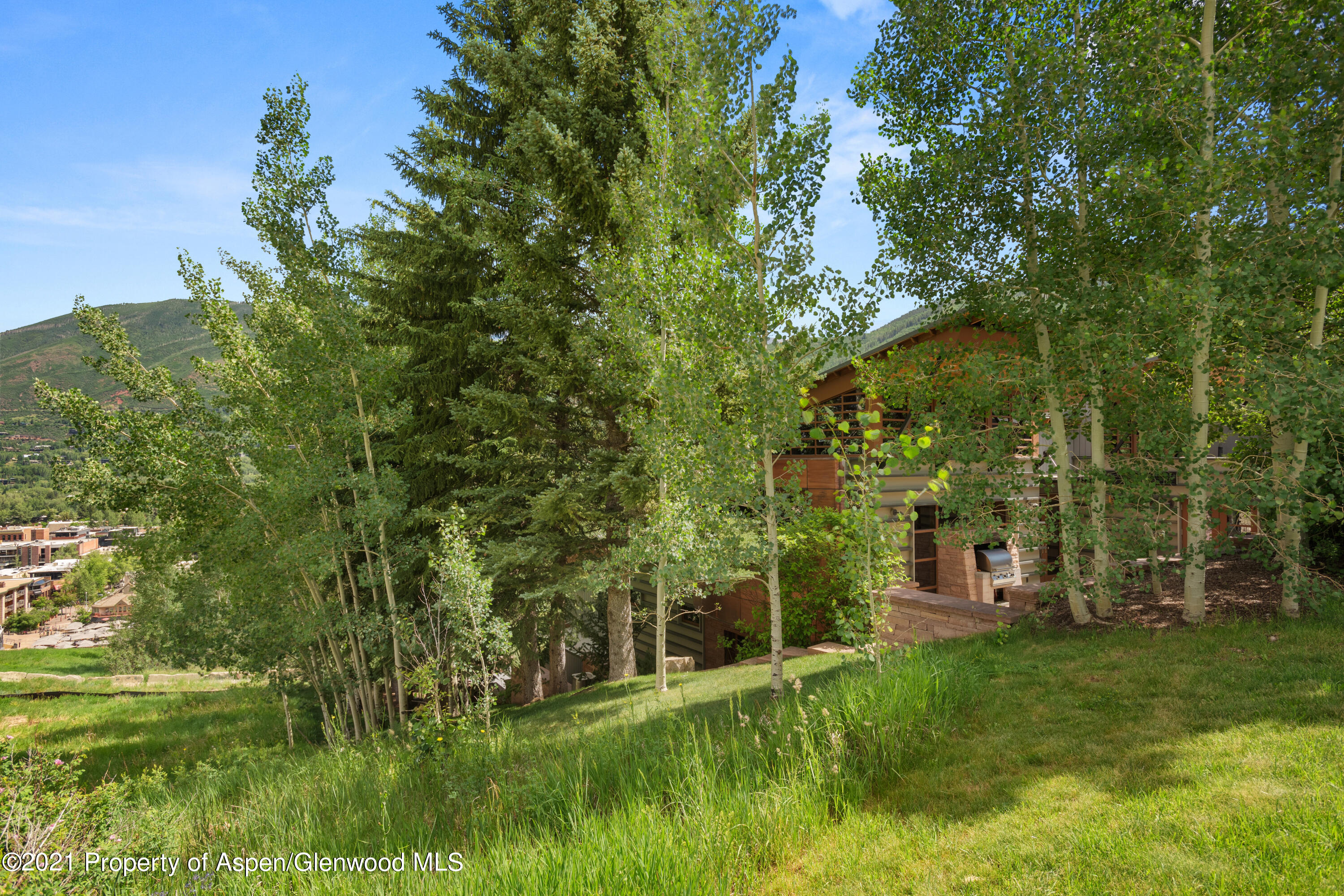 550 Aspen Alps Road South Aspen, CO 81611 - Photo 12 of 58 a view of a garden with a building