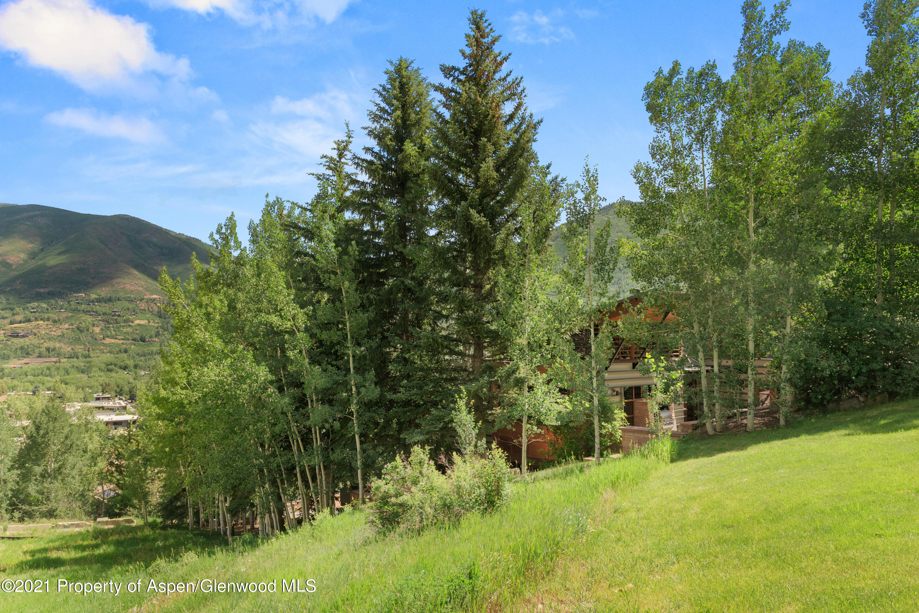550 Aspen Alps Road South Aspen, CO 81611 - Photo 13 of 58 a view of yard with green space
