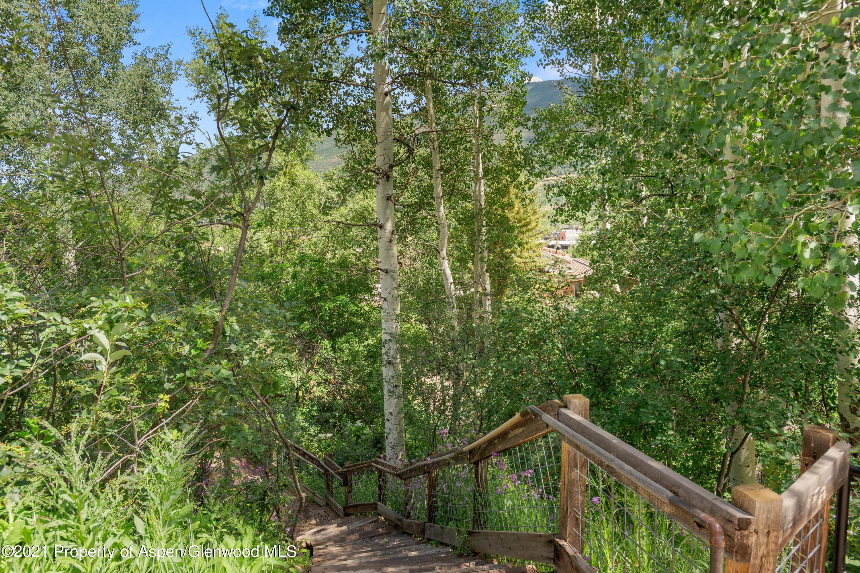 550 Aspen Alps Road South Aspen, CO 81611 - Photo 17 of 58 a view of a forest from balcony